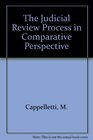 The Judicial Process in Comparative Perspective