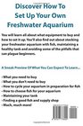 Your Own Freshwater Aquarium The Ultimate Guide To Set Up A Freshwater Aquarium Like An Expert