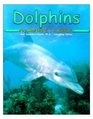 Dolphins [Scholastic] (Ocean Life)