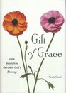 Gift of Grace  Little Inspirations that Invite God's Blessings