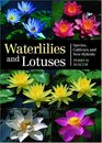 Waterlilies and Lotuses  Species Cultivars and New Hybrids