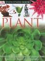 Plant (DK Eyewitness Books)
