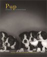 Pup Notecards 20 Assorted Notecards and Envelopes