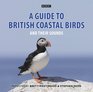 Guide to British Coastal Birds  Their Sounds