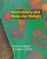 Biochemistry and Molecular Biology