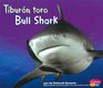 Tiburon Toro/ Bull Shark