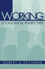 Working Sociological Perspectives