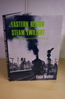 Eastern Region Steam Twilight