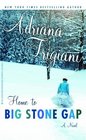 HOME TO BIG STONE GAP by Adrianna Trigiani