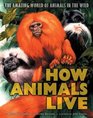 The How Animals Live  Amazing World of Animals in the Wild
