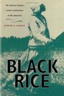 Black Rice  The African Origins of Rice Cultivation in the Americas