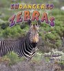 Endangered Zebras