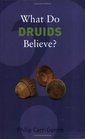 What Do Druids Believe