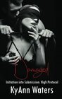 Damaged A Dominance and Submission Billionaire BDSM Romance