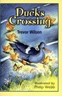 Ducks Crossing