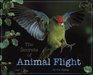 The Secrets of Animal Flight