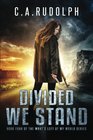 Divided We Stand Book Four of the What's Left of My World Series