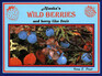 Alaska's Wild Berries and Berry Like Fruit