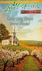 Courting Hope Michigan Seasons Bk 2