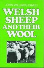Welsh Sheep and Their Wool