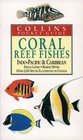 Coral Reef Fishes IndoPacific  Caribbean