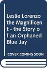 Lorenzo the Magnificent  the Story of an Orphaned Blue Jay