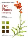 Dye Plants  Dyeing