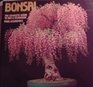 Bonsai Bok Edition