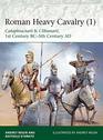 Roman Heavy Cavalry  Cataphractarii  Clibanarii 1st Century BC5th Century AD