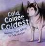 Cold Colder Coldest Animals That Adapt To Cold Weather