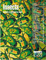 Insects (Teachers A-Z Resource Guide)