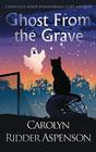 Ghost From the Grave: A Chantilly Adair Paranormal Cozy Mystery (The Chantilly Adair Paranormal Cozy Mystery Series)