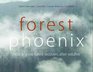 Forest Phoenix How a Great Forest Recovers After Wildfire