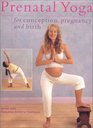 Prenatal Yoga for Conception Pregnancy and Birth