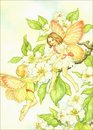 Fairies Notebook