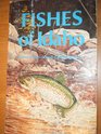 Fishes of Idaho