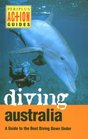 Diving Austrialia A Guide to the Best Diving Down Under
