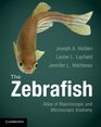 The Zebrafish Atlas of Macroscopic and Microscopic Anatomy