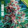 Ed Rosenthal's Big Buds 2010 Marijuana Calendar