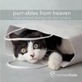 Purrables from Heaven Gift Edition Inspirational Stories for Cat Lovers