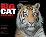 Real Stories of Big Cat Rescues: Tales from the Exotic Feline Rescue Center (Quarry Books)