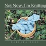 Not Now I'm Knitting Sweaters Shawls Vests and Other Patterns in Classic and Contemporary Styles