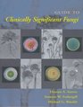 Guide to Clinically Significant Fungi