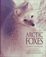 Arctic Foxes