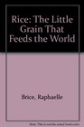 Rice The Little Grain That Feeds the World