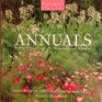 Annuals Yearly Classics for the Contemporary Garden