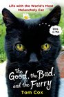 The Good the Bad and the Furry Life with The Bear the World's Most Melancholy Cat