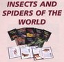 Insects and Spiders of the World