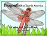 Dragonflies of North America A Color and Learn Book With Activities