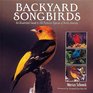 Backyard Songbirds An Illustrated Guide to 100 Familiar Species of North America